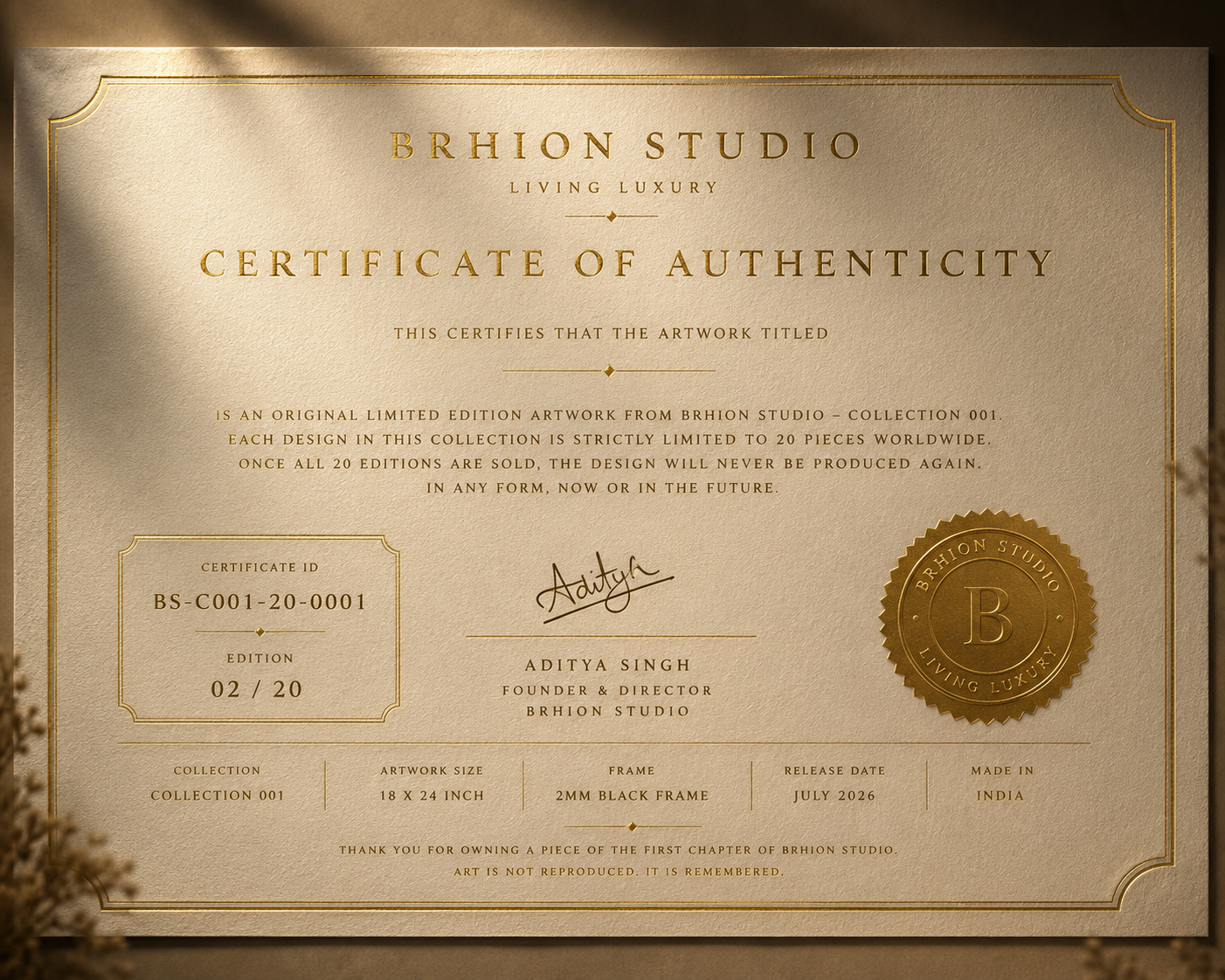 BRHION STUDIO COLLECTION 02